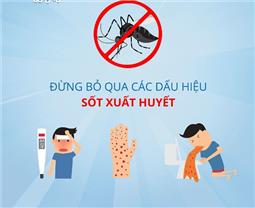 Tháng 11 là đỉnh dịch của sốt xuất huyết, làm sao để không mắc bệnh?